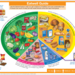 Supplements for a Balanced Diet: Essential Insights and Tips