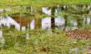 Stormwater Drain Solutions: Causes and Insights for Wollongong