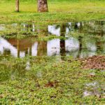 Stormwater Drain Solutions: Causes and Insights for Wollongong