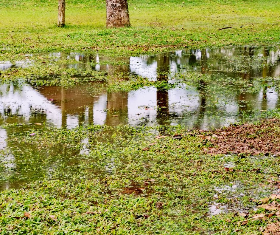 Stormwater Drain Solutions: Causes and Insights for Wollongong