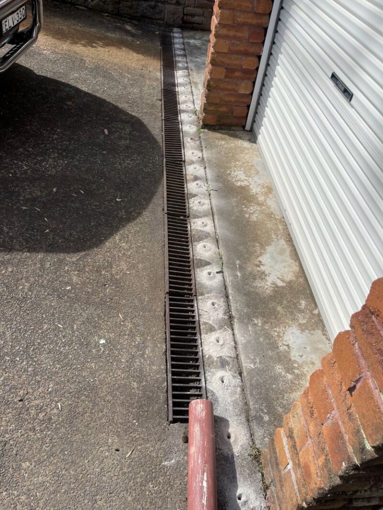 Termite Protection: How to Ensure Your Home is Covered