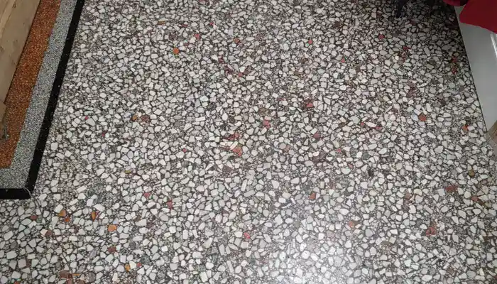 Terrazzo Floors: Essential Care and Restoration Tips for Homes