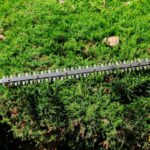 Hedge Trimming Tips for a Stunning Garden in West Coker