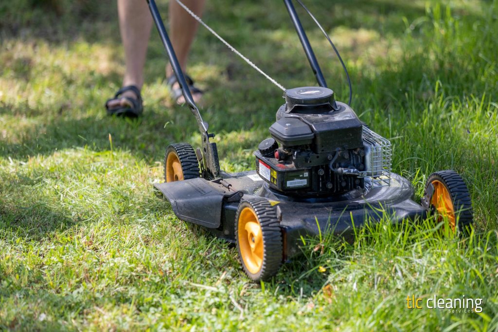 Grass Cutting Services: Expert Tips and Options in Ilchester