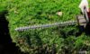Hedge Trimming Best Practices for Gardens in Queen Camel