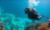 Big Blue Hole Diving: Top Tips for Adventurous Explorers