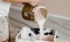 Budget Tips for Succeeding with Exterior Paint Jobs in Sydney