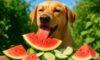 Seasonal Diet Adjustments for Pet Health Insights