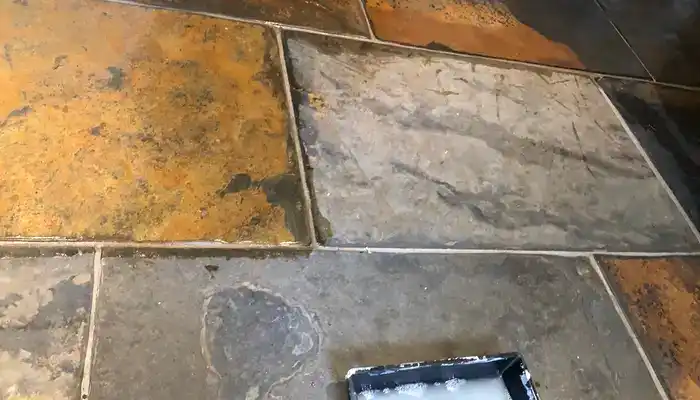 Slate tiles showing the appearance difference between sealed and unsealed areas